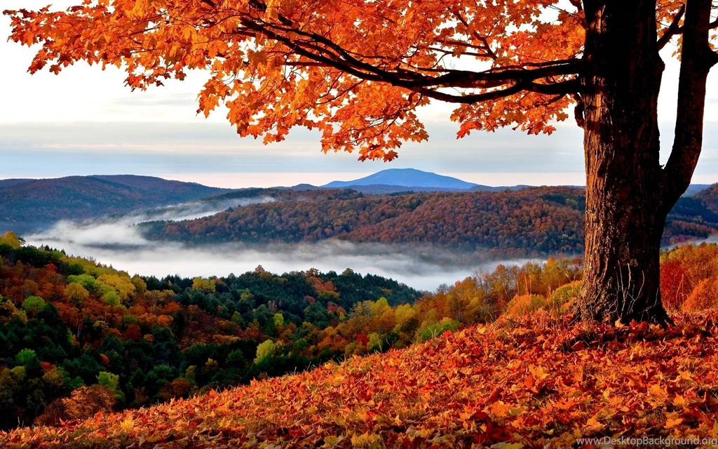 Autumn Wallpapers HD Photos Backgrounds Free Images