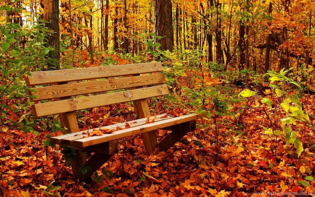Desktop Wallpapers Autumn Wallpapers Cave