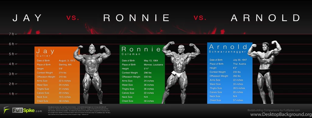 Jay Cutler Vs. Ronnie Coleman Vs. Arnold Schwarzenneger ...
