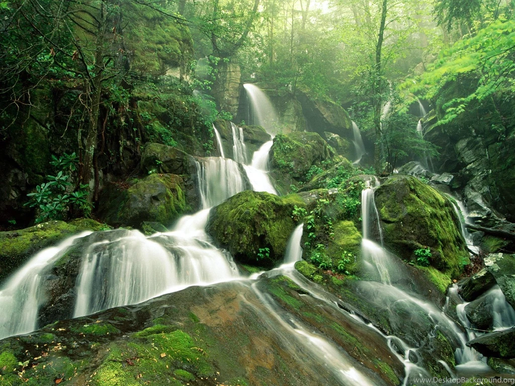 Free Download Of Beautiful Nature Wallpapers For PC Desktop With ...