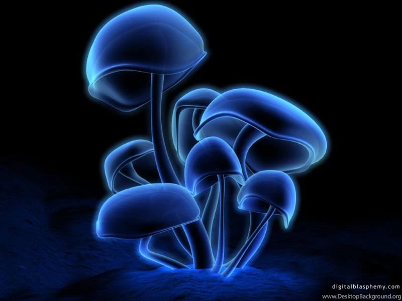 1136163721_800x600_3d abstract wallpapers.jpg