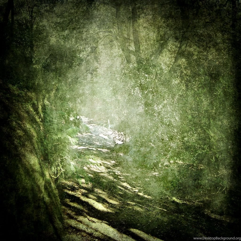 Texture/Backgrounds 12