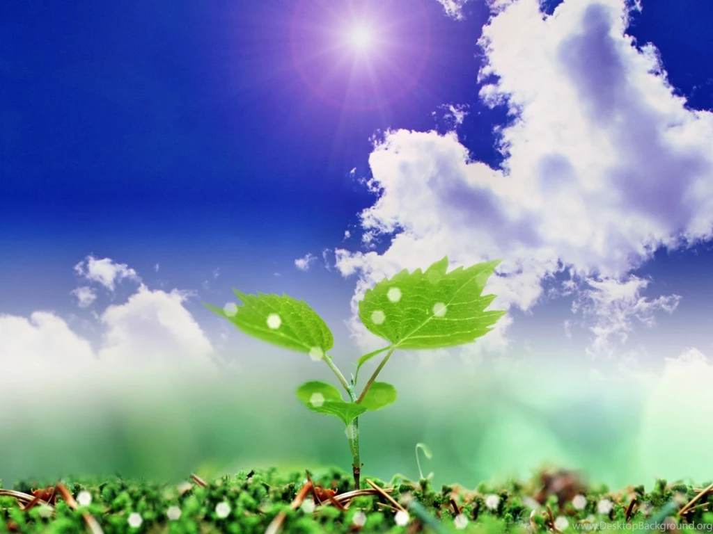 Desktop Flower Backgrounds Wallpapers Cave