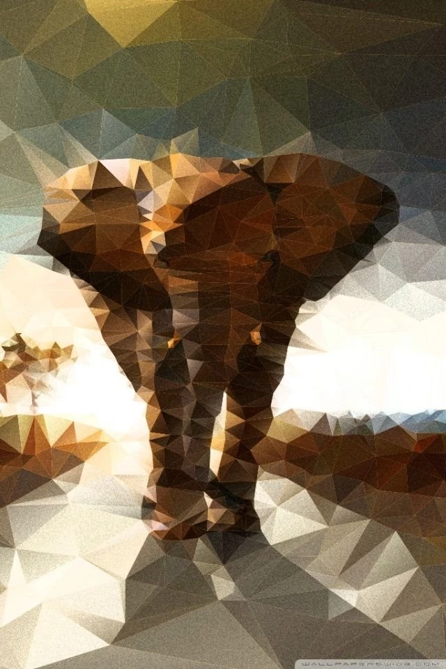 Elephant Polygon Illustration HD Desktop Wallpapers : Widescreen ...