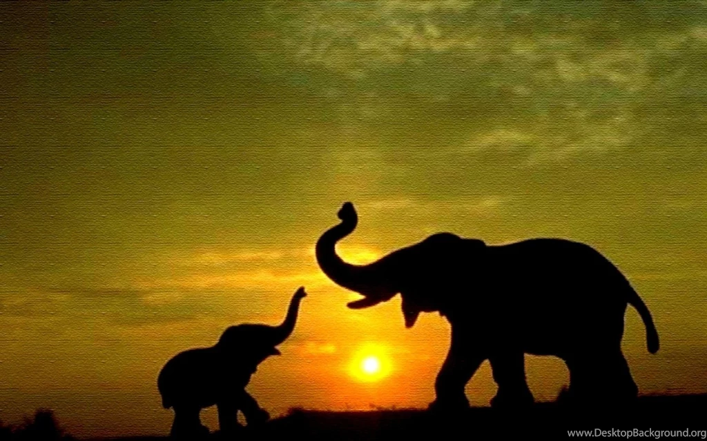 Elephant Computer Wallpapers, Desktop Backgrounds