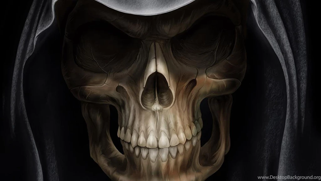 Excellent Skull Wallpapers