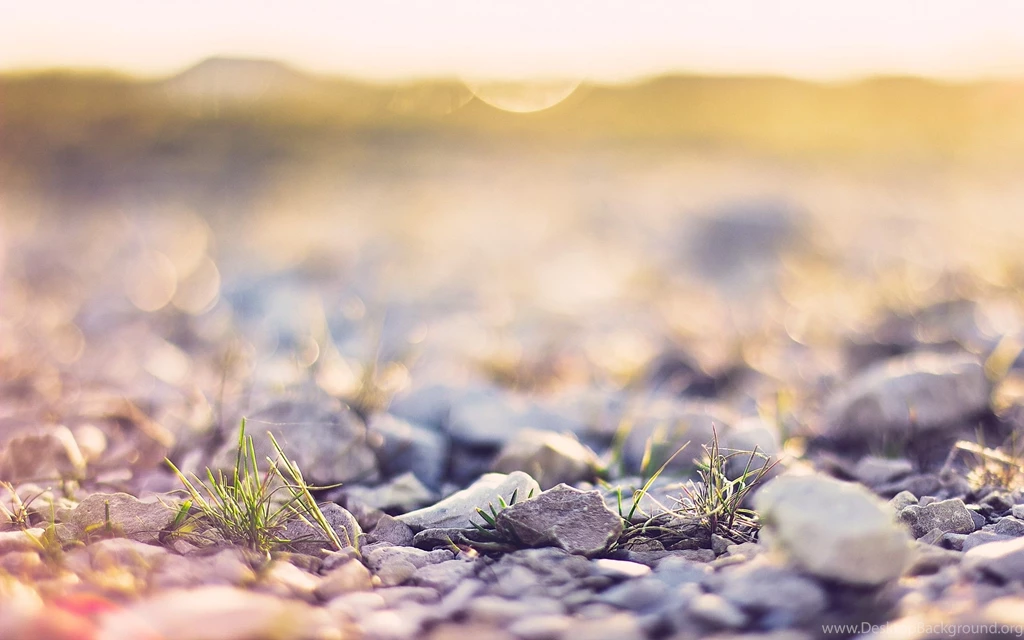 Ground Close up Wallpapers