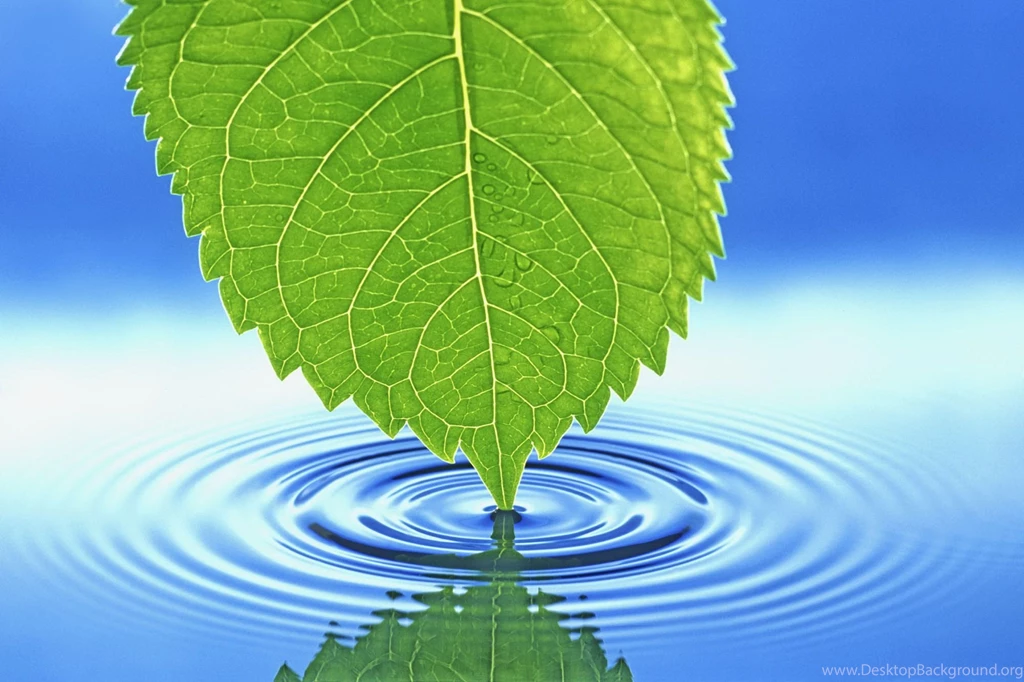 Nature Images High Resolution Wallpapers High Definition