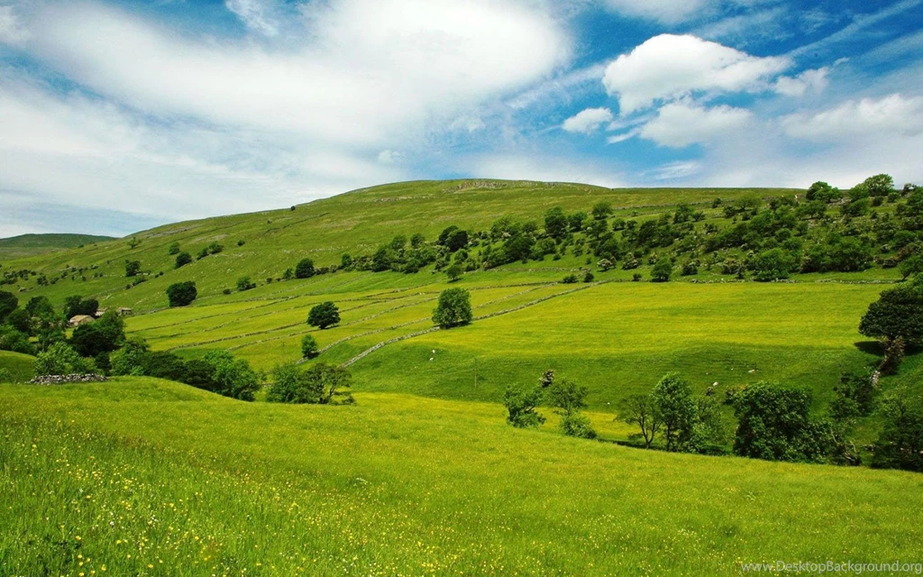 Welsh Prairie Hd Wallpapers 1920x1200 Windows Hd Wallpaper