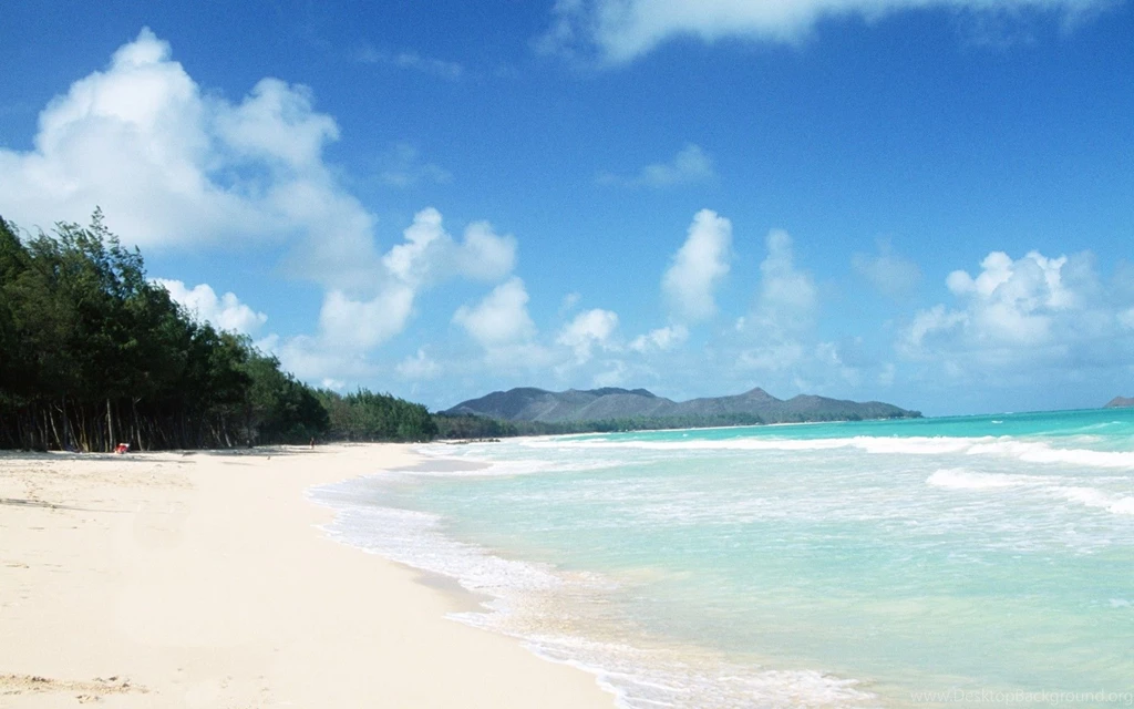 Free Wallpaper Backgrounds ★ For Computer Desktops And Cell ...