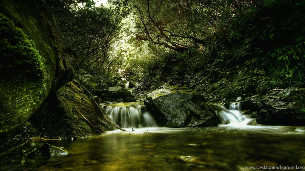 Free Desktop Wallpapers 13364 1920×1080 Px Hdwallsource