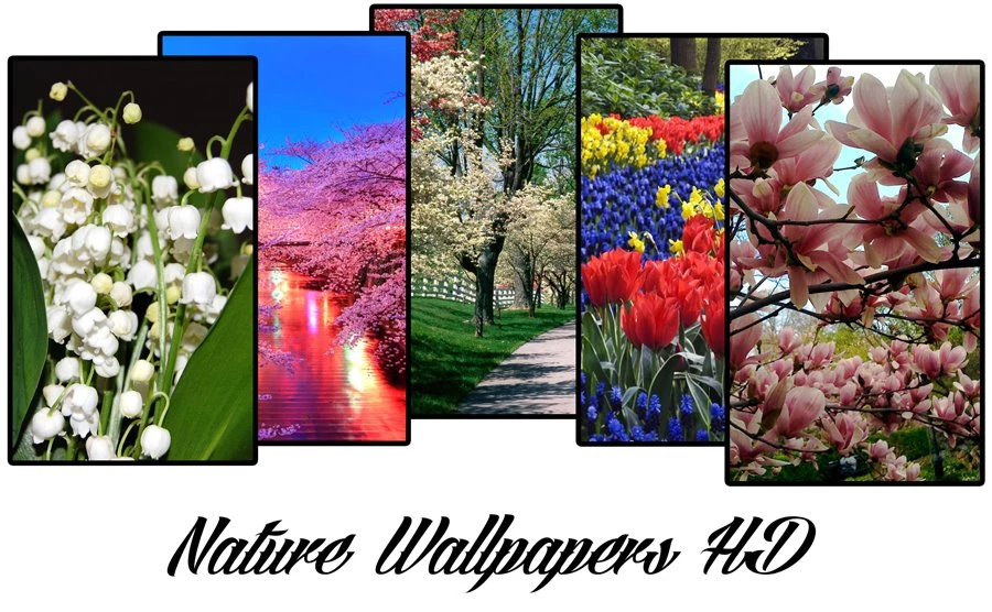 Gallery For Nature Pictures Slideshow Hd