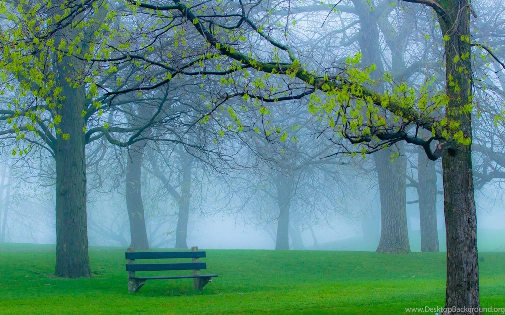 Good Morning Wallpapers HD