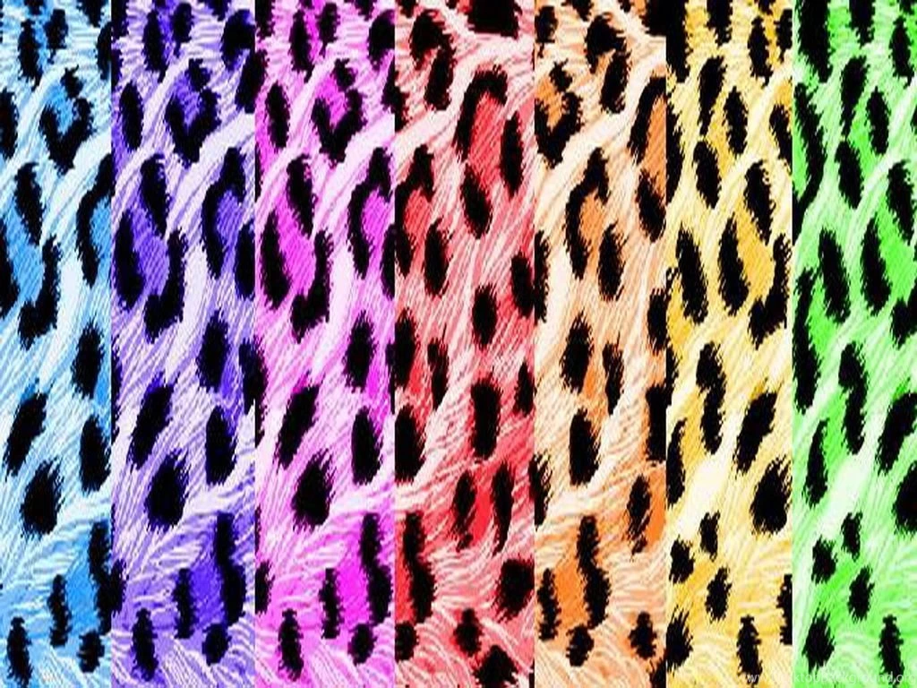 Zebra Glefia.com Wallpapers