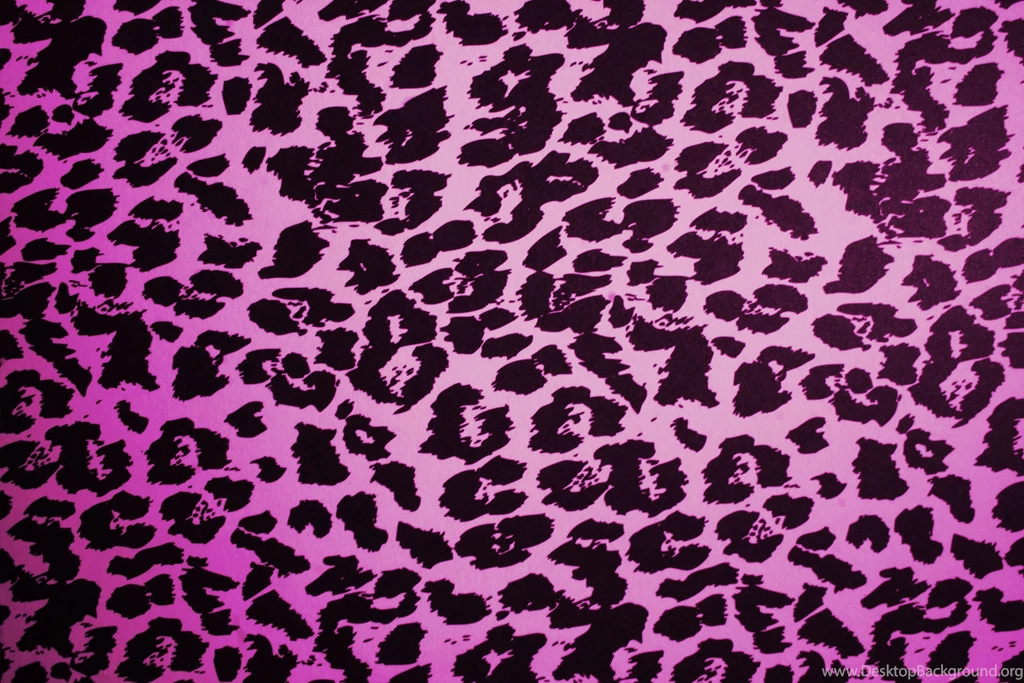 Desktop Hd Black And Pink Zebra Print Wallpapers 3d Hd Pictures.