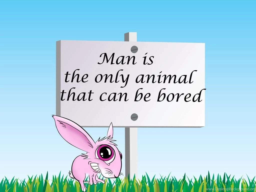 Funny Animal Sayings (id: 58816) – BUZZERG