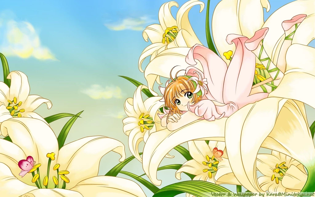 Kinomoto Sakura, Wallpapers
