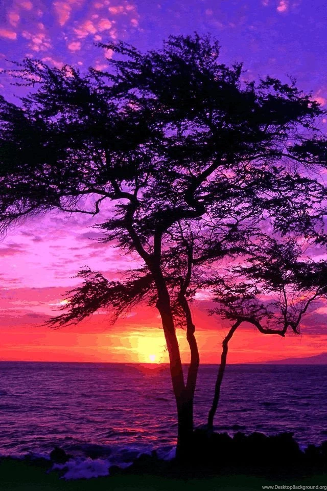 This Is A Pretty Computer Wallpapers Or Phone Background.