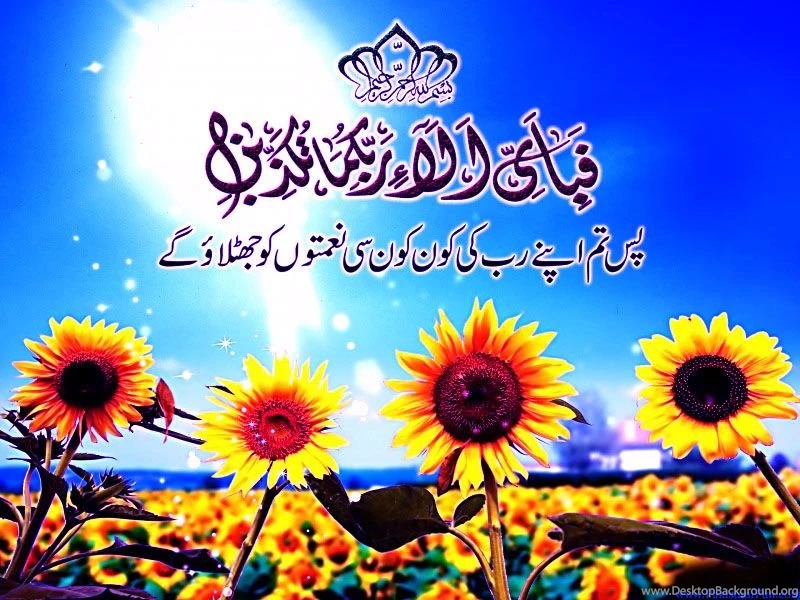 Islamic pic 2016.jpg
