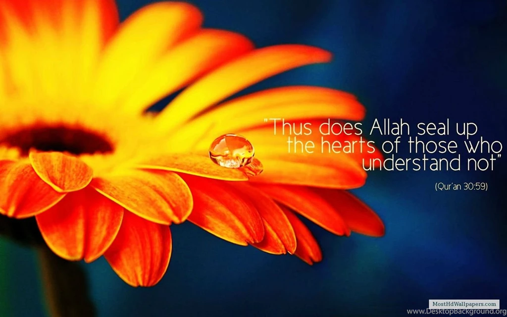 Islamic Wallpapers