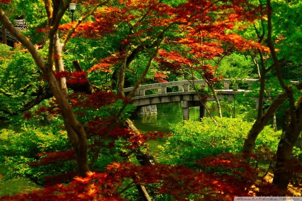 Japanese Garden (Kyoto) HD Desktop Wallpapers : Widescreen : High ...