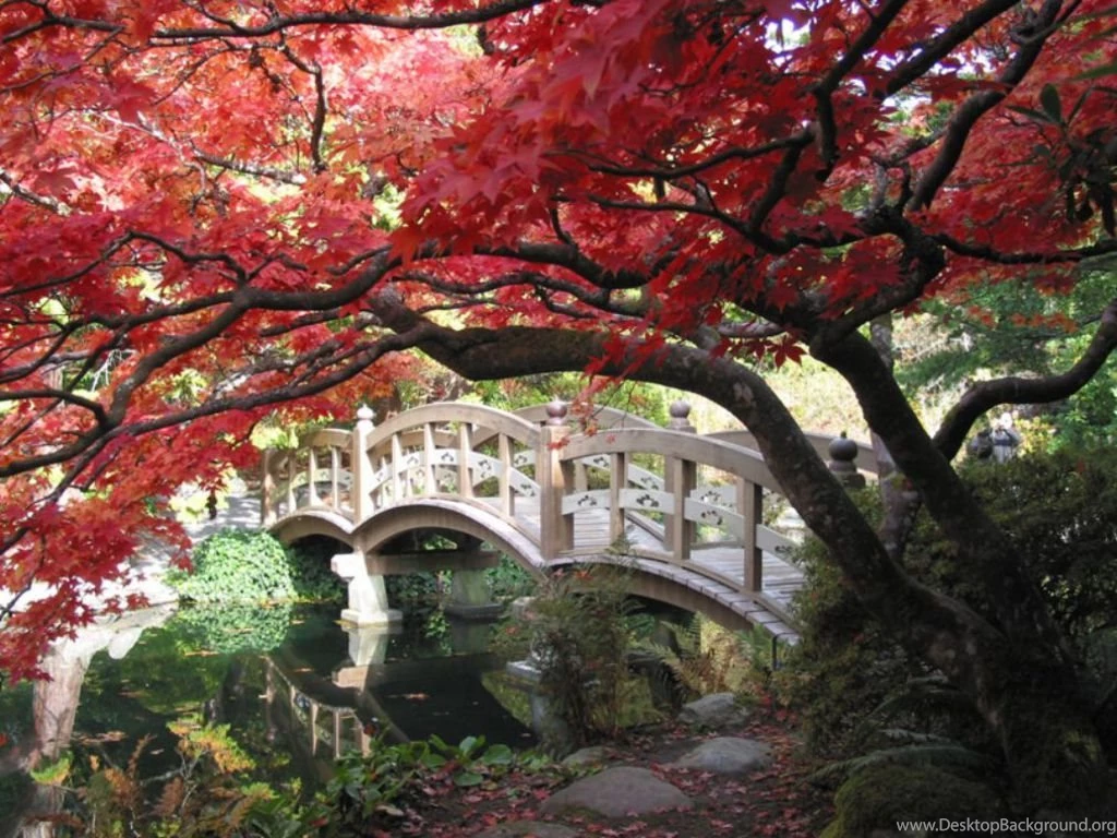 Japanese Garden (id: 82458) – BUZZERG