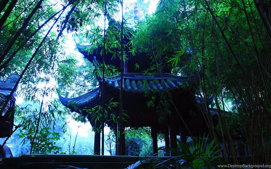 In The Japanese Garden Wallpapers And Images Wallpapers ...