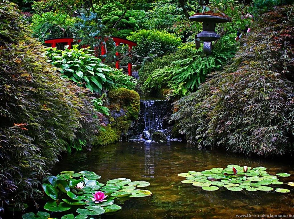 Japanese Garden With Waterlily Pond (