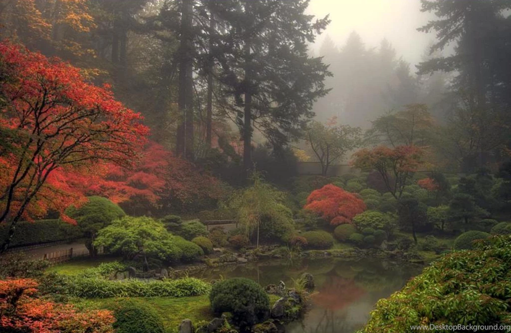 Foggy Japanese Garden >> HD Wallpaper, Get It Now!