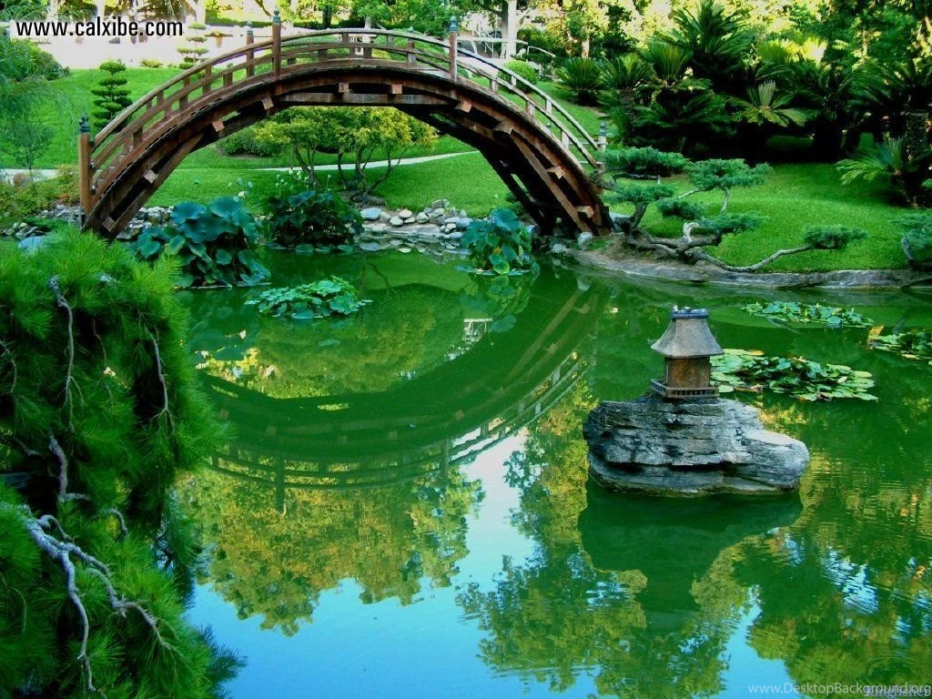 Nature: Japanese Garden Bridge, Picture Nr. 6527