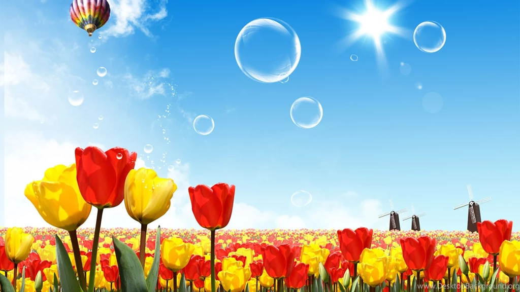 Download Wallpapers 2560x1440 Tulips, Sun, Sky, Hot Air Balloon Mac ...