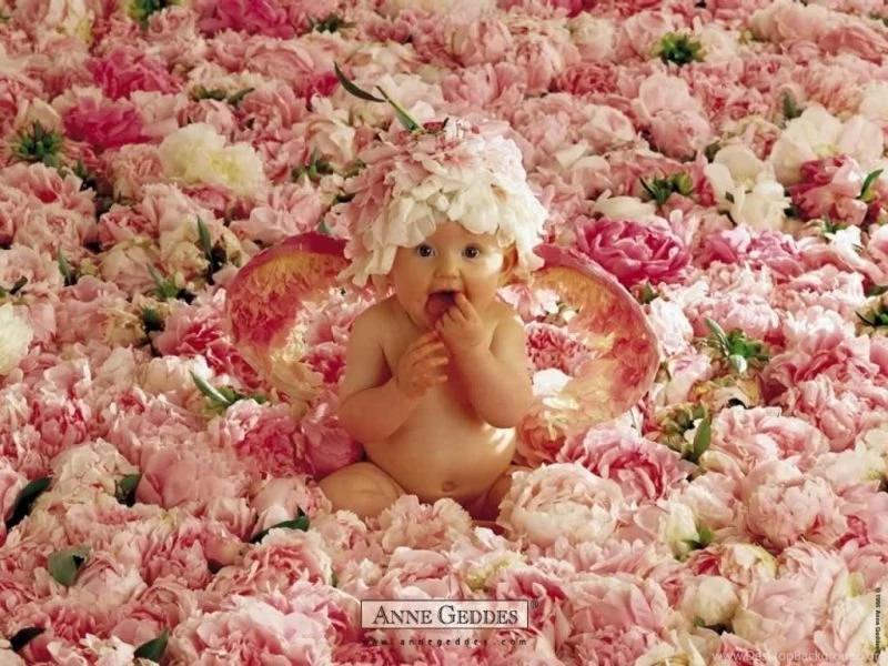 Wallpapers Babby Angel Inspiring Cute And Funny Baby Take A Bath ...