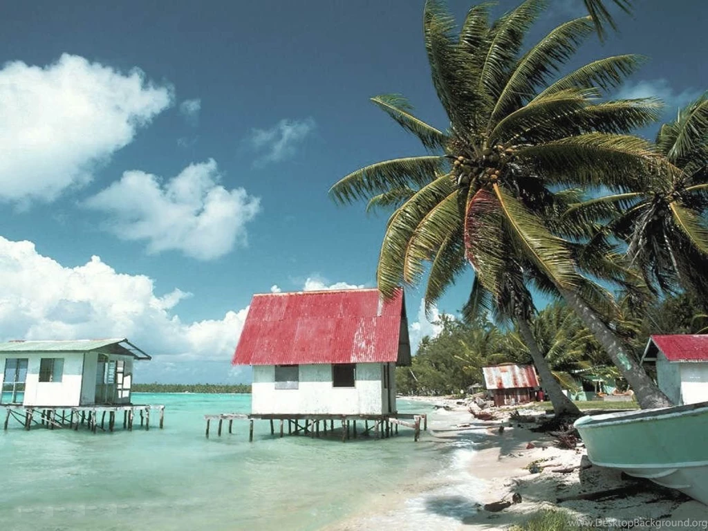 Farm House Beach Tree Sea HD Wallpapers 1080p Free Download ...