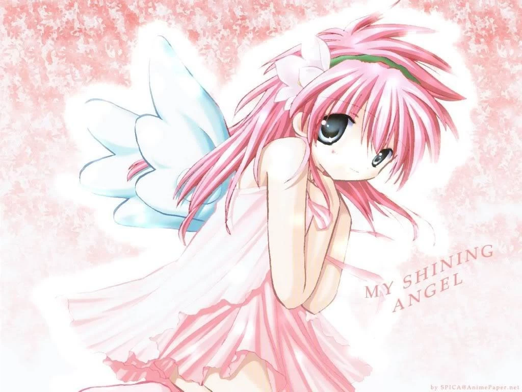 Gallery For Cute Angel Wings Wallpapers