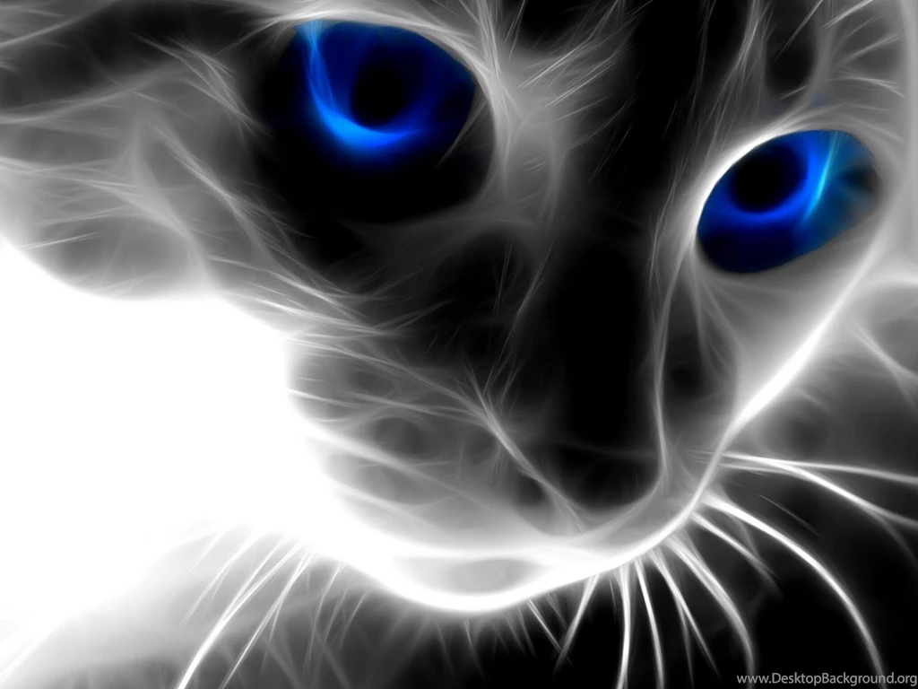 3D Abstract Cat Wallpapers Widescreen