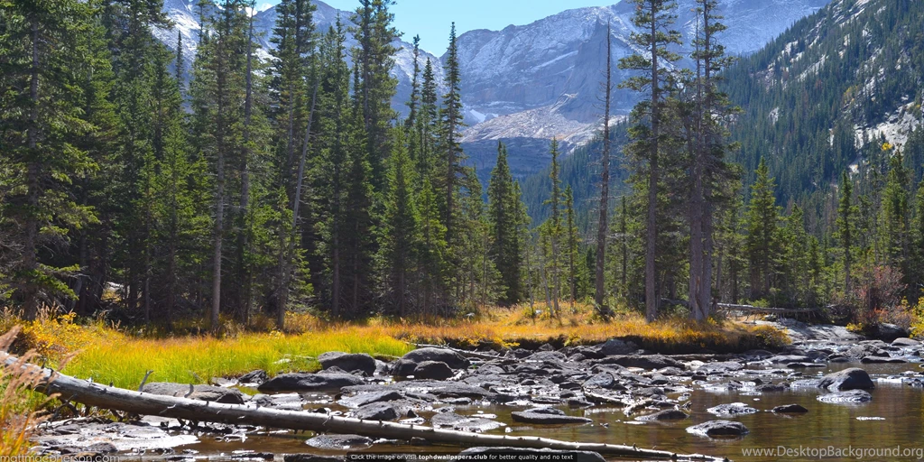 The Marsh Between Mills And Jewel Lakes In Colorado 4K Or HD ...