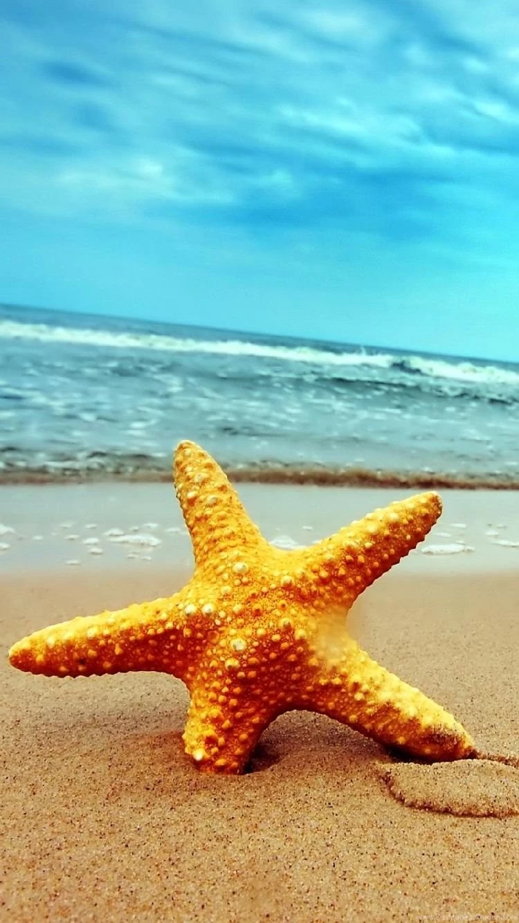 Most Viewed Free Iphone Wallpapers