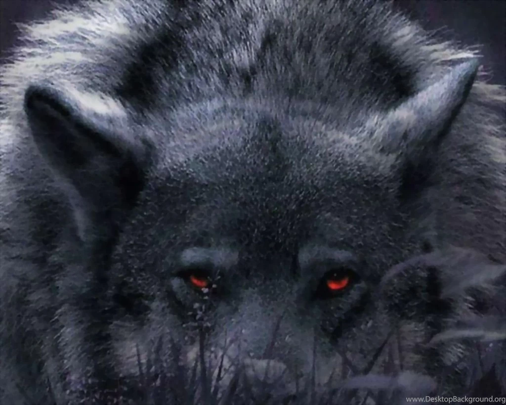 Wolf Computer Wallpapers, Desktop Backgrounds
