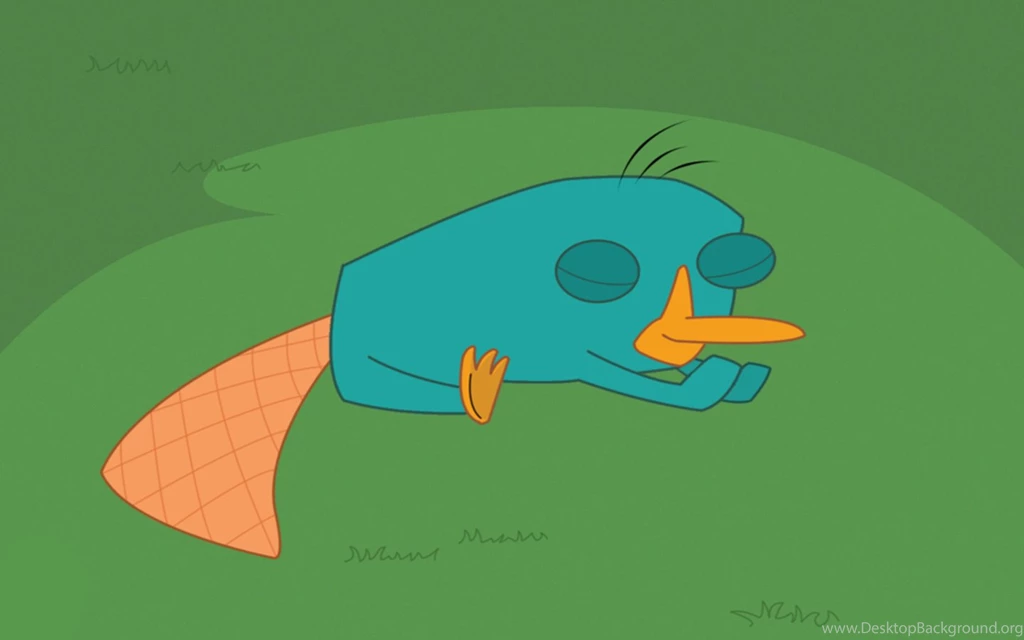 Pictures > Perry The Platypus Wallpapers For Iphone