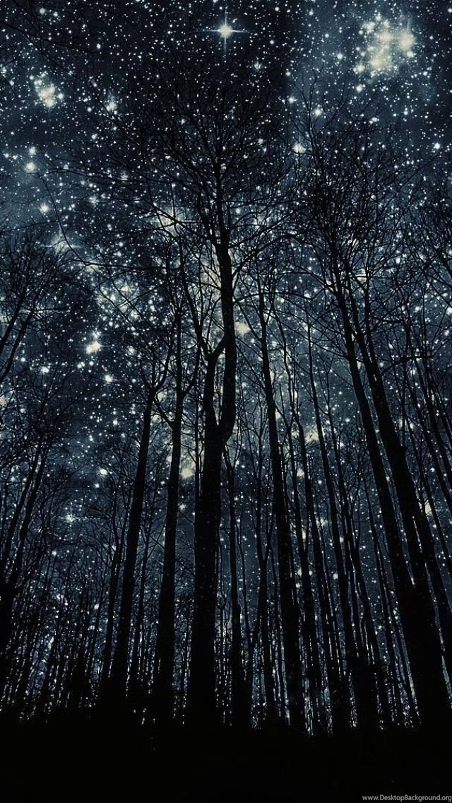 Forest Nigth Full Of Stars iPhone 5 Wallpapers