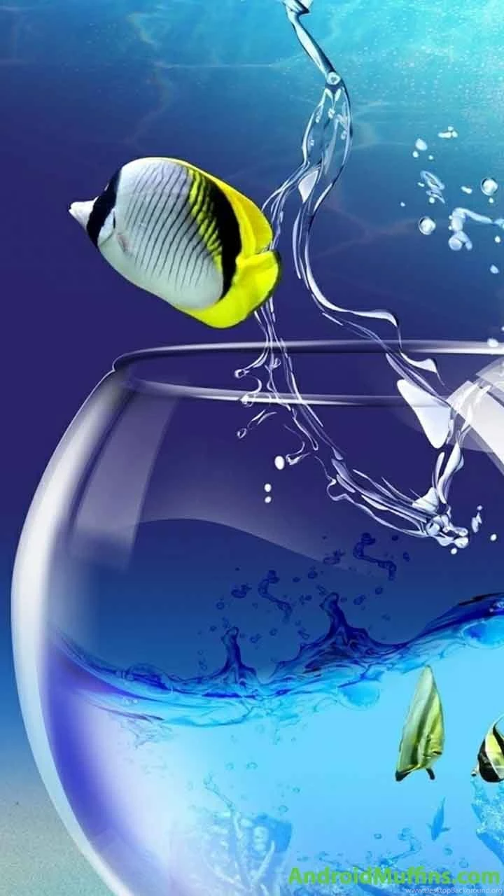 Free Wallpapers For Samsung Galaxy S