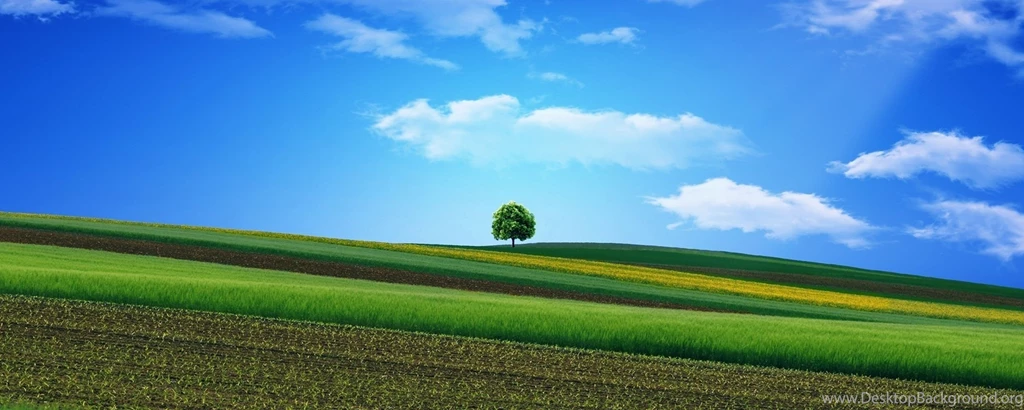 Download Wallpapers 2560x1024 Field, Grass, Sky, Tree, Beautiful ...
