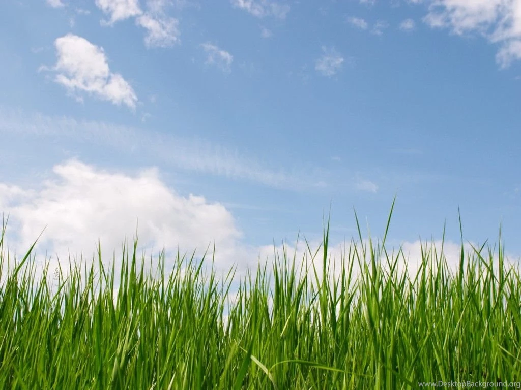 Pic > Grass Clip Art Backgrounds