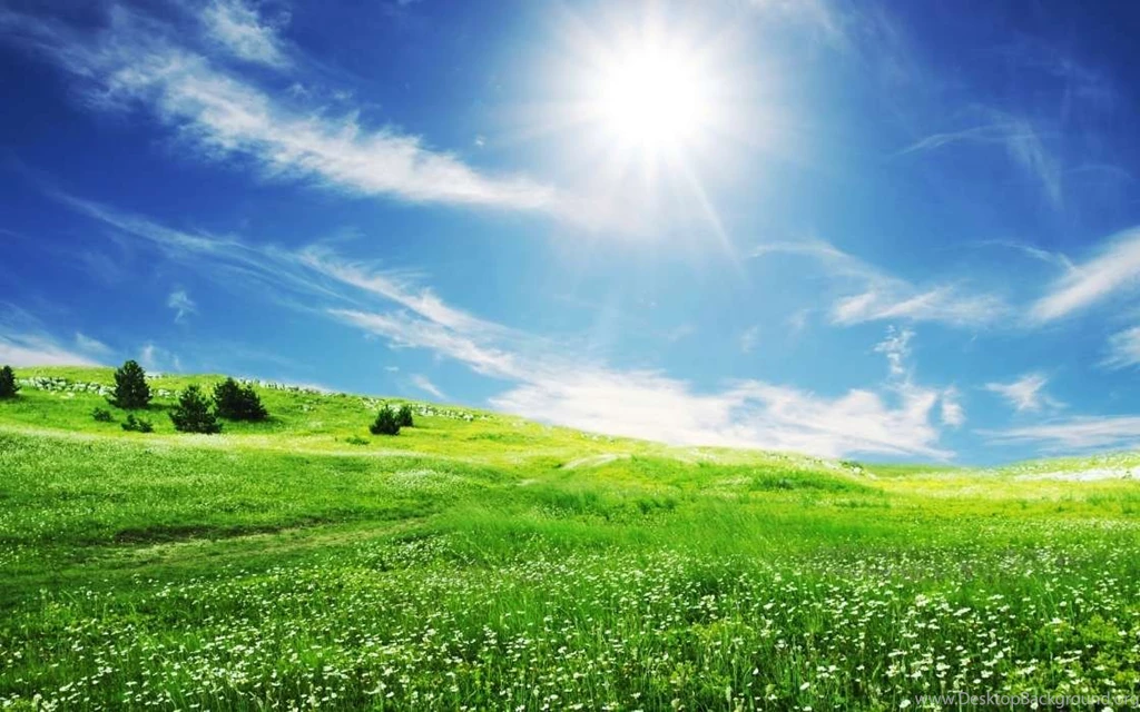 Download Mobile Wallpaper: Landscape, Grass, Sky, Sun, Free. 2873.
