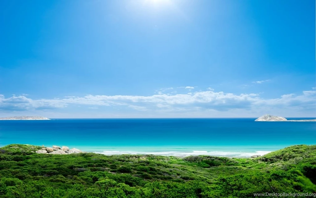 1280x800 Sky Ocean Grass & Plants Desktop PC And Mac Wallpapers