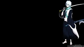 Search Results For Toshiro Hitsugaya HD Wallpapers