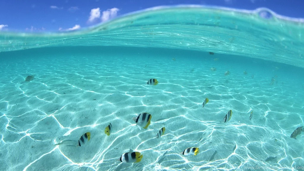 Beautiful Ocean