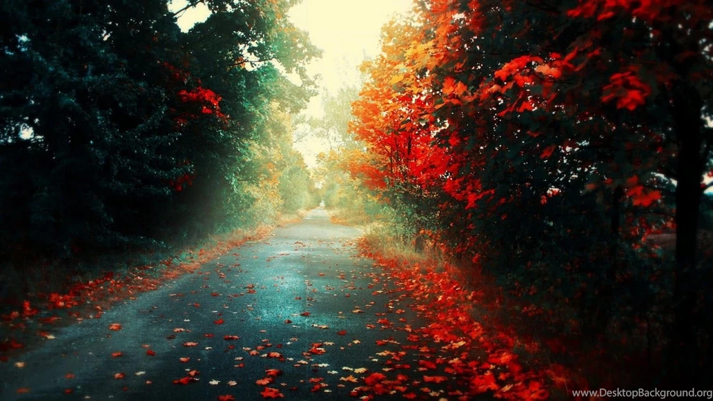 Pic New Posts: 1600 X 900 Hd Wallpapers Free Download