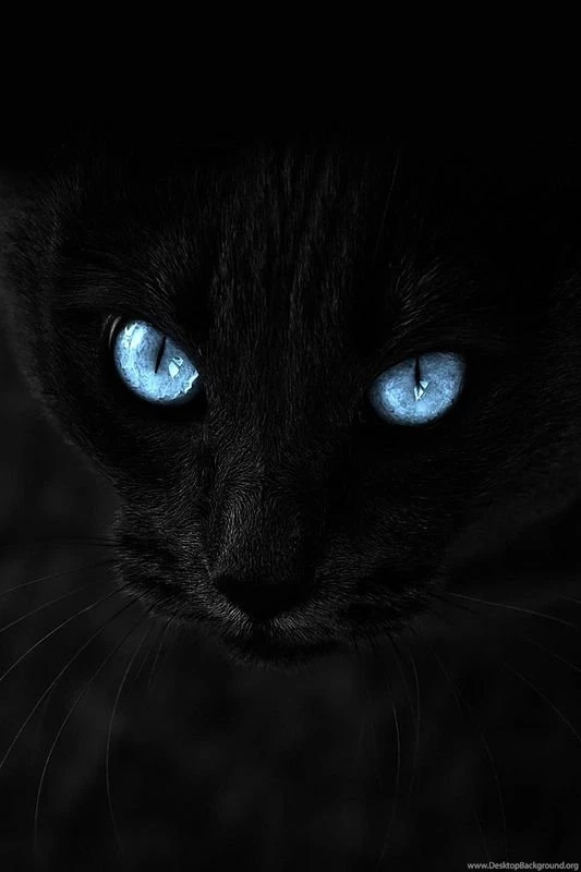 30 Cool And High Quality iPhone 4 Wallpapers