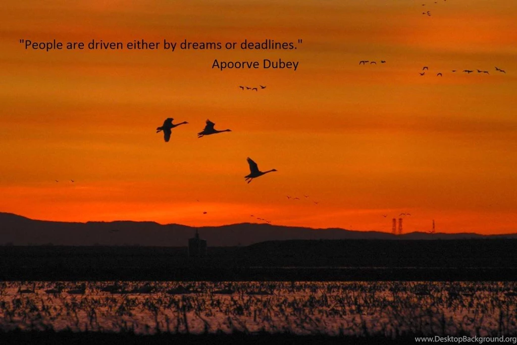 Inspiring Quote Wallpapers